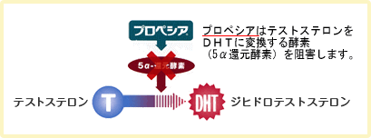 プロペシアについて