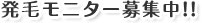 発毛モニター募集中